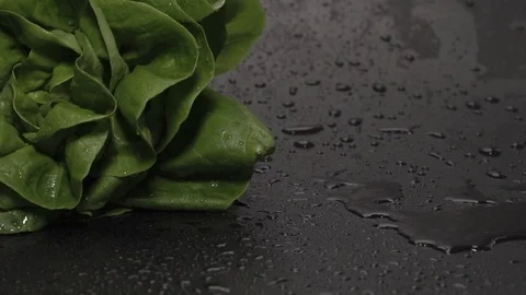 Slow motion. Lettuce leafs. Fresh verdure salad falling down on wet dark Stock Footage 125493428