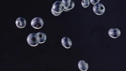 Slow motion of levitated flying berries Stock Footage 103983351
