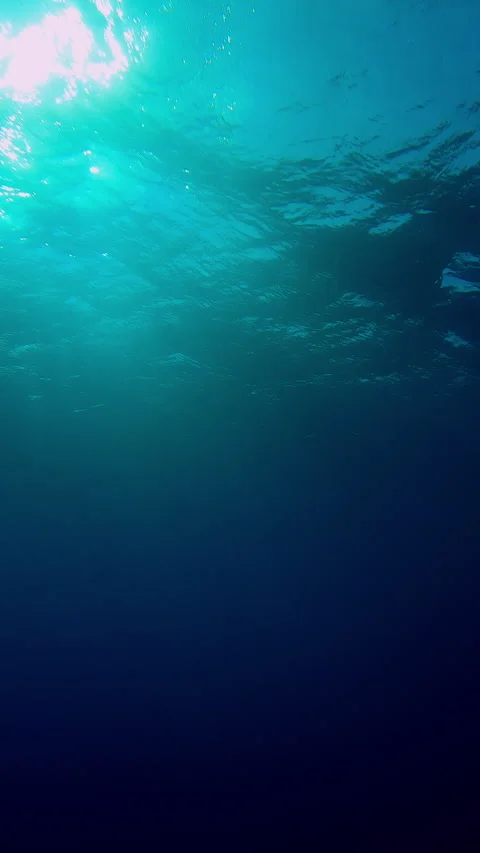 Slow motion of light filters down through blue water Stock Footage 330750488