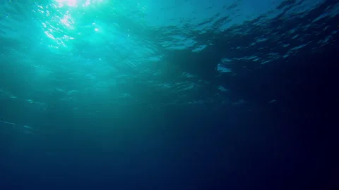 Slow motion of light filters down through blue water Stock Footage 338261831