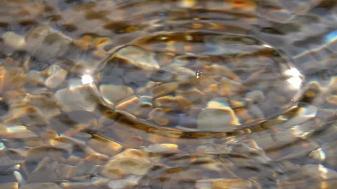 Slow motion of light rain with round waves in shallow pure water close up. Stock Footage 98095539