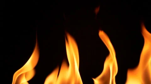 Slow motion line of fire flame igniting and burning on black, design element Stock Footage 146882913