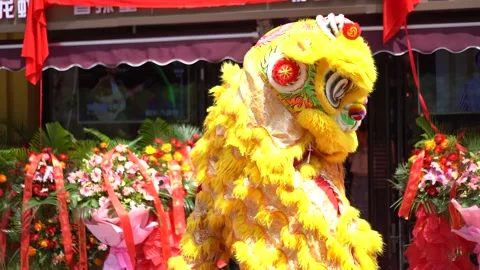 Slow motion Lion Dance D Stock Footage 151185378