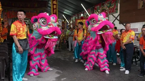 Slow Motion Lion Dance Parade at Air Itam Tua Pek Kong Temple Stock Footage 345445142