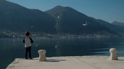 Slow motion little boy standing on pier, throwing rocks into lake water Stock Footage 76524032