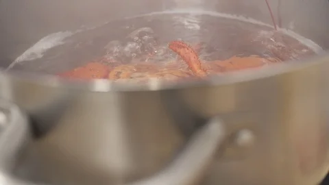 Slow motion Lobster Cooking in Boiling Water 動画素材 85879482