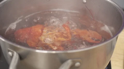 Slow motion Lobster Cooking in Boiling Water Stock Footage 85881940