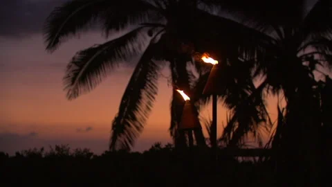 Slow Motion Lockdown Shot Of Traditional Hawaiian Tiki Torch And Silhouette Palm Stock Footage 243160994