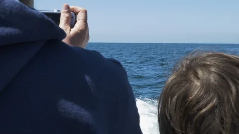 Slow motion - looking past shoulder at swimming dolphins from boat Video stock 100553130