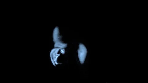 Slow-motion loop of a brain scan of a healthy human adult male caucasian Stock Footage 111963809