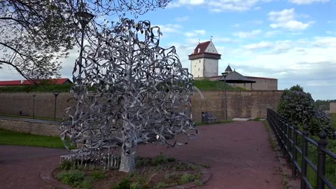 Slow Motion Love Tree Park View Stock Footage 336497648