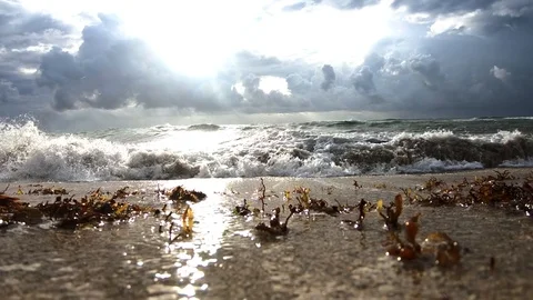 Slow motion low angle close up view of incoming tidal wave floods fine Stock Footage 114432678