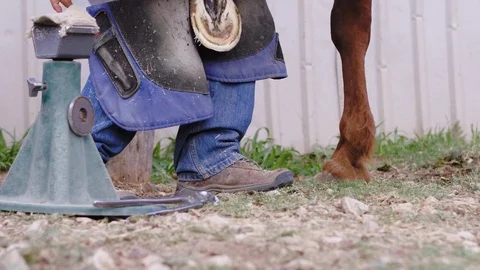 Slow motion low angle shot of a Farrier filing the base of a horse hoof in Stock Footage 104320277