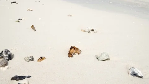 Slow motion Low angle view of white sand beach Stock Footage 88194766
