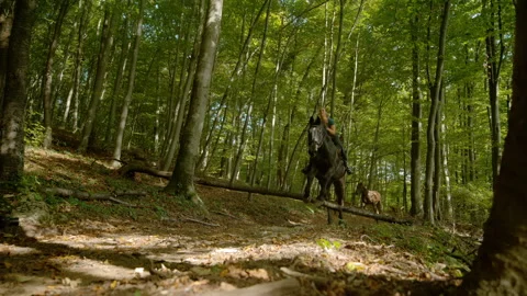SLOW MOTION, LOW ANGLE VIEW: Female horse rider skilfully jumps over a log Vídeo Stock 281691003