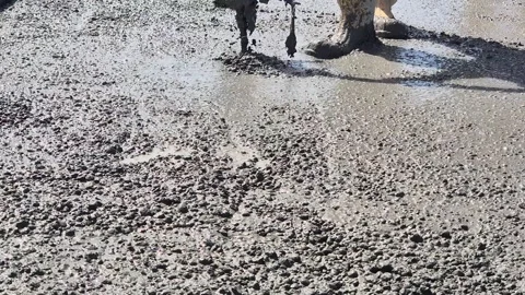 Slow motion low angle view of vibrating freshly poured concrete 库存影片 334993917