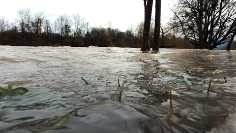 Slow motion low angle water floods river bank grass and trees after season rain Stock Footage 122035753