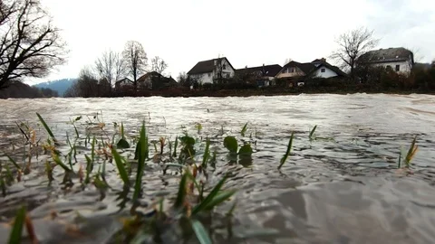 Slow motion low angle water floods river bank grass and tress after season rain Stock Footage 122036084