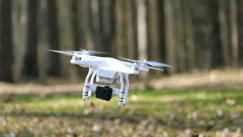 Slow motion. Low flying drone in  wood  close up Video stock 73851483