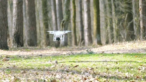 Slow motion. Low flying drone in  wood and leaves from wind of screws Stock Footage 73851779