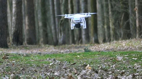 Slow motion. Low flying drone in  wood   in windy day Video stock 73851821