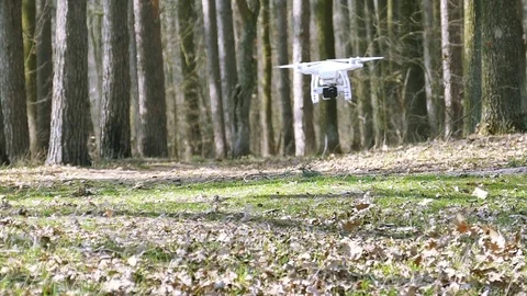 Slow motion. Low flying drone in  wood and leaves from wind of screws Stock Footage 73851877