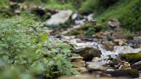 Slow motion low to high shot from plant to river with balancing cairn stones Video stock 91434519
