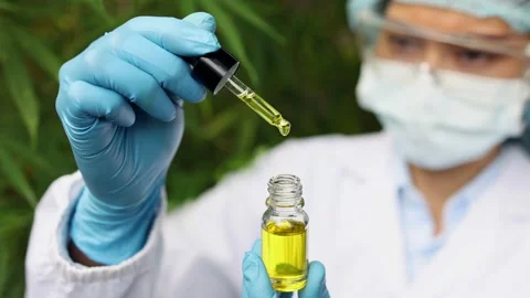 Slow motion macro close up of Drops of Hemp oill, CBD cannabis oil in pipette Stock Footage 204529185