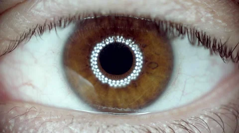 Slow motion macro CU eye iris pupil contracting eye light reflection. Stock Footage 55418265