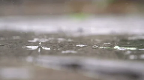 Slow Motion Macro of Raindrops 動画素材 35402028