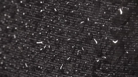 Slow motion macro recording of water drops on lotus-effect surface Stock Footage 327352165