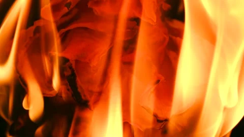 Slow Motion Macro Shot of a Burning Rose on Black Background Video stock 312986495