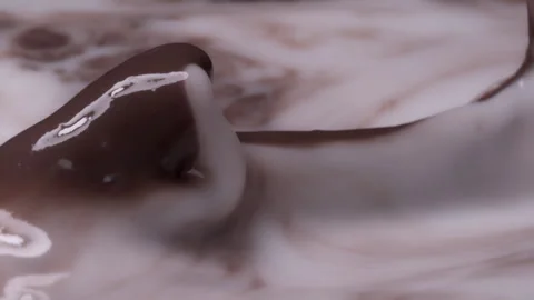 Slow motion, macro shot: Liquid chocolate pouring into milk. UHD25p Stock Footage 249589582