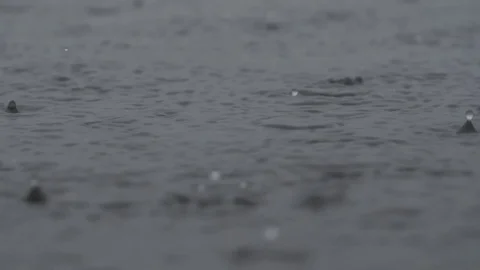 Slow motion macro shot of raindrops falling on lake surface with bugs. Stock Footage 79472253