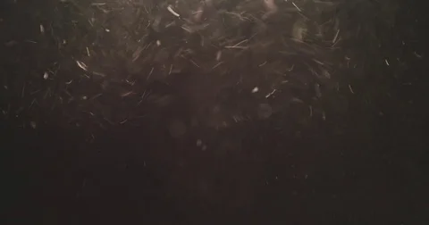 Slow motion macro shot of sand dust explosive flow for overlay Stock Footage