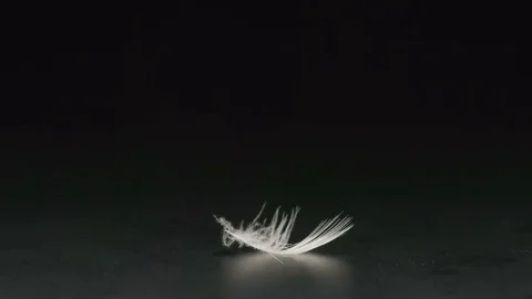 SLOW MOTION: Macro shot - White feather falls on a black desk Stock Footage 72553686