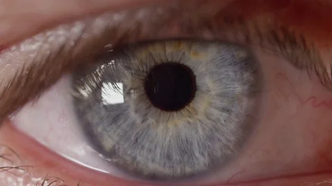 SLOW MOTION MACRO Unknown blue eyed man's pupil adjusting to changes in lighting Stock Footage 83162116