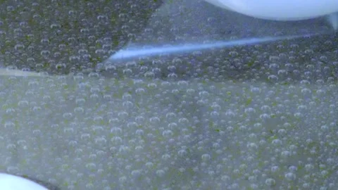 Slow motion macro of water boiling with eggs inside cooking pot 動画素材 338205000