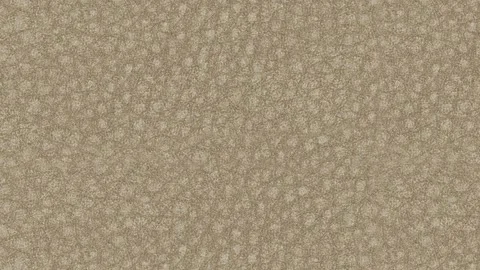 Slow-Motion Macro Zoom Reveals Beige Leather Grain Surface Stock Footage 313916138