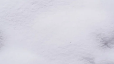 Slow Motion Making A Snowball Stock-Footage 85104043