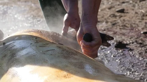 Slow motion with a Man clean with a knife burned skin and hair blacken Stock Footage 70691011