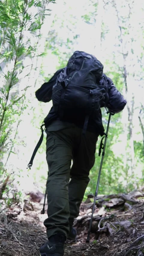 Slow motion of a man climbing up the hill in the middle of the forest Stock Footage 327876940