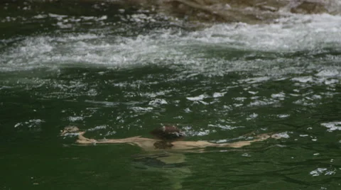 Slow motion man coming up from under water Stock Footage 68188654
