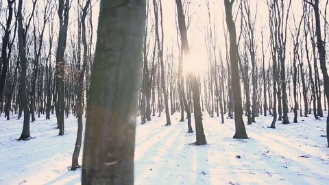 Slow motion: Man flees from persecution winter park. Fear of the unknown Stock Footage 77059528