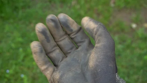 Slow Motion of Man Hands Wearing Gloves before Gardening Stock Footage 90353763