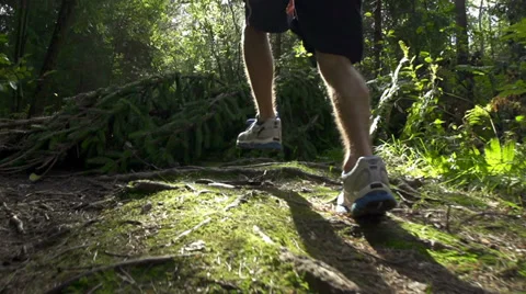 SLOW MOTION: Man jogging through the forest Video stock 31746924