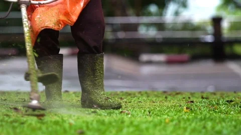 Slow Motion : A man mowing the grass in the garden Stock Footage 76237025