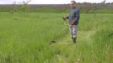 Slow Motion : A man mowing the grass in the garden Video stock 76467950