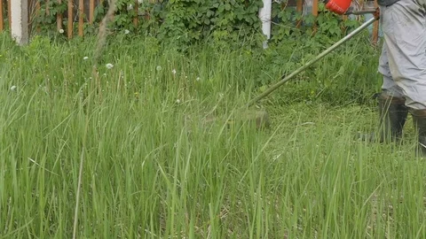 Slow Motion : A man mowing the grass in the garden Stock Footage 76609598