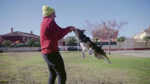 Slow motion of a man playing with his border collie dog spinning around on .. 動画素材 230726318